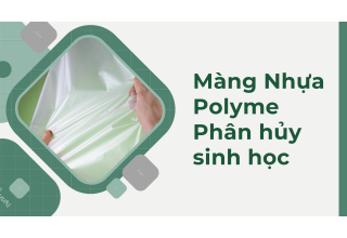 Màng Nhựa Polyme Phân Hủy Sinh Học: Ứng Dụng Thực Tế và Tiềm Năng Trong Nông Nghiệp